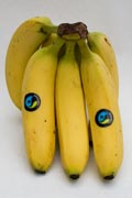 Bananas